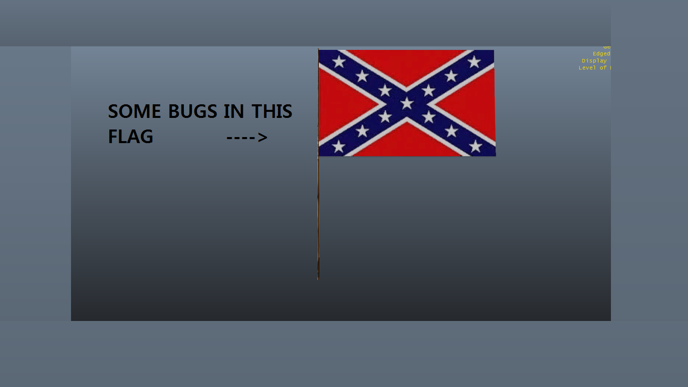 Confederate Flag Spotted in GeoGuesser Game Doesn't Narrow Down Anything